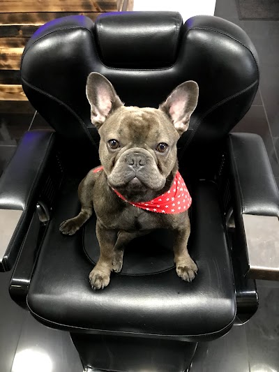 Photo associated with Urban Tails Dog Grooming