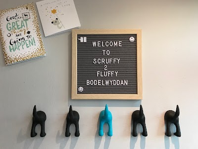 Photo associated with Scruffy 2 Fluffy Dog Grooming