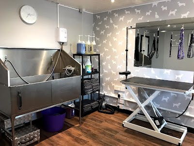 Photo associated with Scruffy 2 Fluffy Dog Grooming