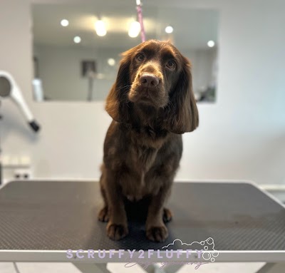 Photo associated with Scruffy 2 Fluffy Dog Grooming