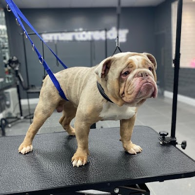 Photo associated with Manchester Dog Groomers