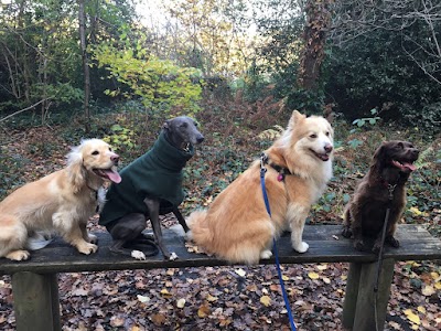 Photo associated with Ayla's Pet Groomers