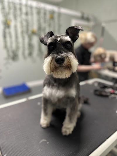 Photo associated with Bespoke Dog Grooming