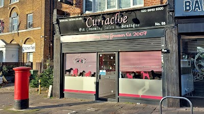 Photo associated with Curracloe Dog Grooming Salon, Ealing, West London