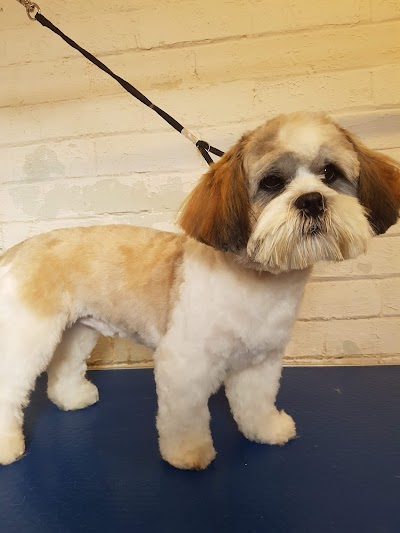 Photo associated with Bobby Dazzlers Dog Grooming