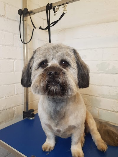 Photo associated with Bobby Dazzlers Dog Grooming