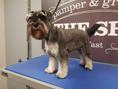 Photo associated with Dog Grooming - The Spa Belfast Pamper & Groom