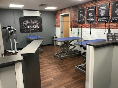 Photo associated with Dog Grooming - The Spa Belfast Pamper & Groom