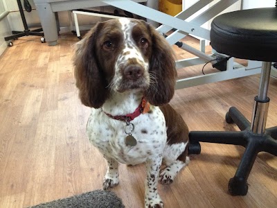 Photo associated with Best Buddy Dog Groomers Burntwood - Dog Grooming Burntwood