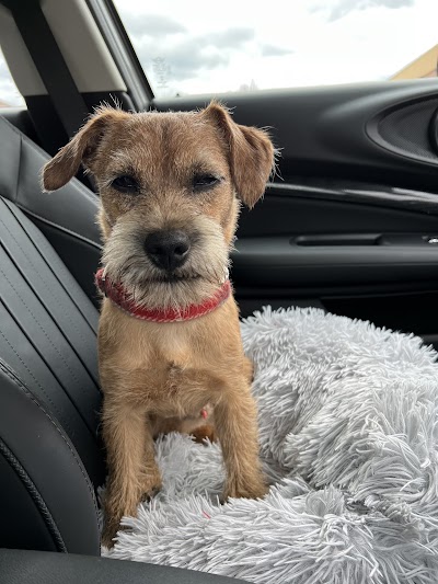 Photo associated with Braw Dugs