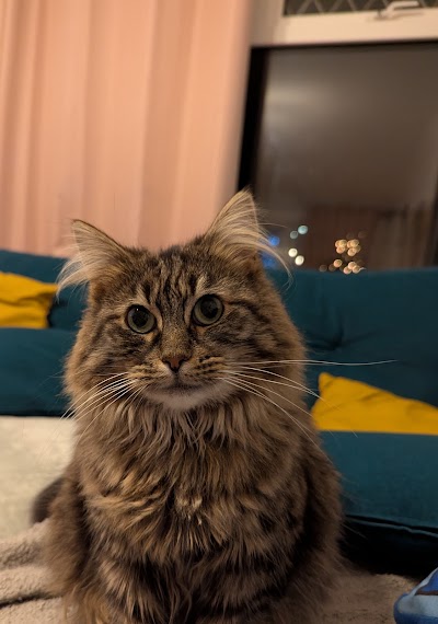 Photo associated with AristoCat Care