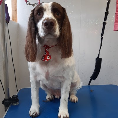Photo associated with Happy Howlers Dog Grooming
