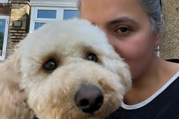Photo associated with The Artful Dog Grooming Parlour. Low-stress, one-to-one dog grooming.