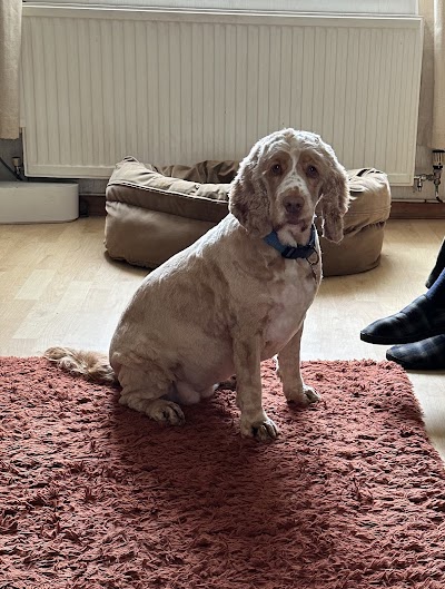 Photo associated with Hair Off The Dog Pet Groomers