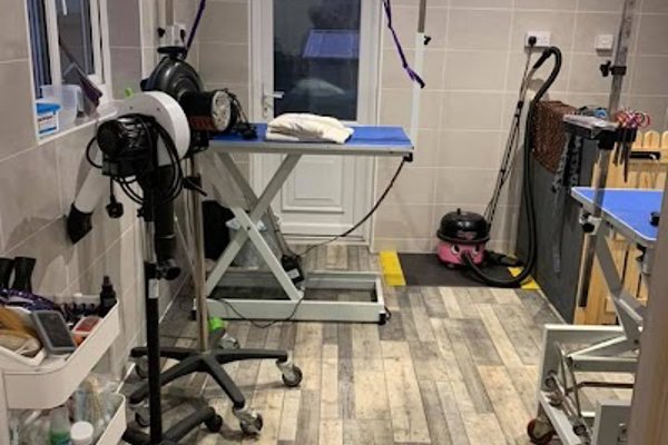 Photo associated with Hair Off The Dog Pet Groomers