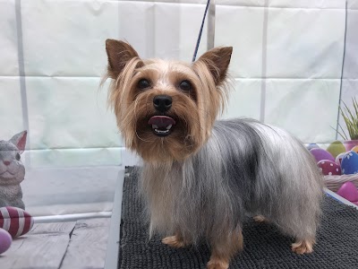 Photo associated with Waggytails Dog Grooming