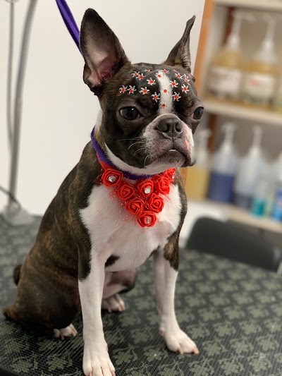 Photo associated with Karine’s Dog Grooming