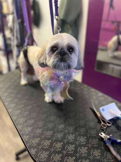 Photo associated with Karine’s Dog Grooming