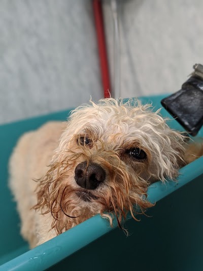 Photo associated with Little Dog Cabin