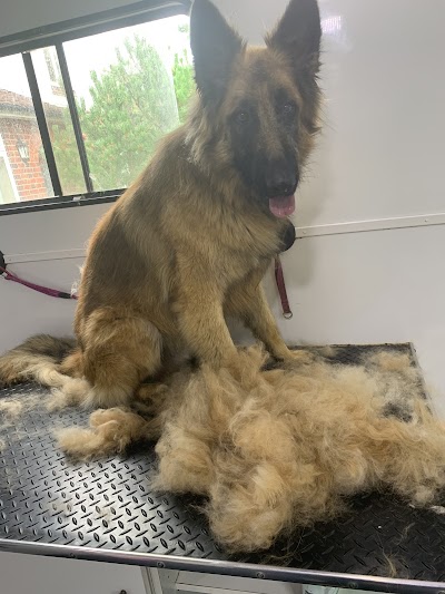 Photo associated with Urban Dog Grooming by Claire