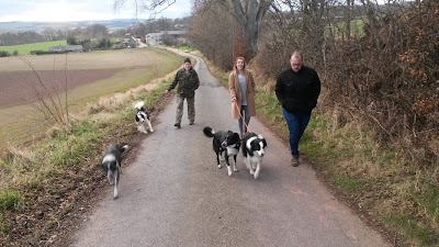 Photo associated with Legerwood Dog Grooming