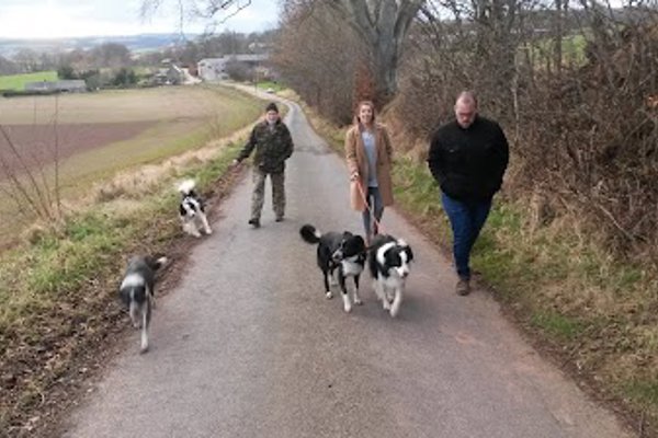 Photo associated with Legerwood Dog Grooming