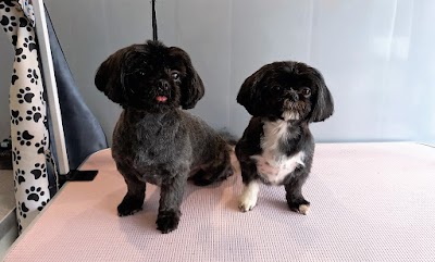 Photo associated with Plush Pups