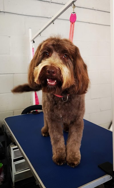 Photo associated with Missymoo's Dog Grooming