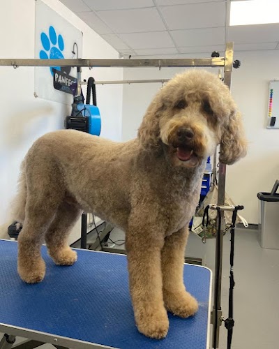 Photo associated with Furfection Dog Grooming