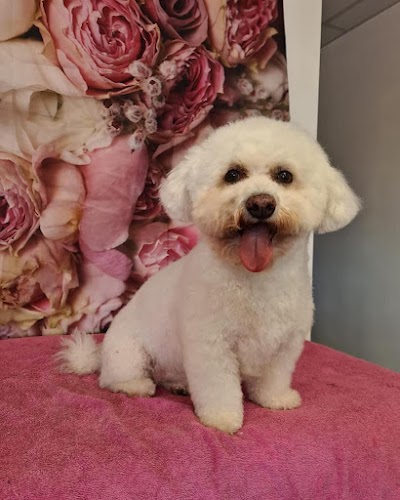 Photo associated with Furfection Dog Grooming