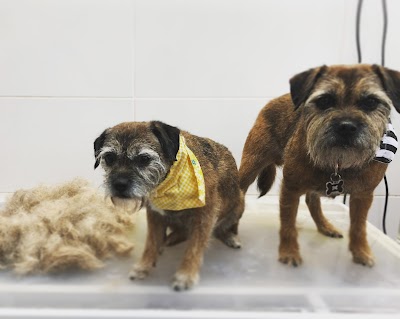 Photo associated with Hairy Pawter Pet Grooming